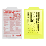 Fruit Fly Glue Board